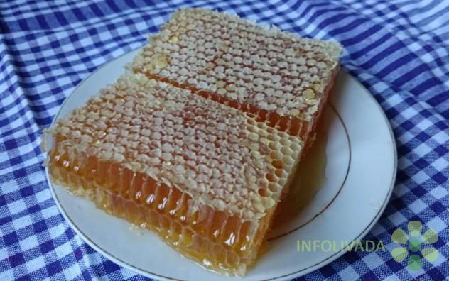 Prvoklasni med u saću